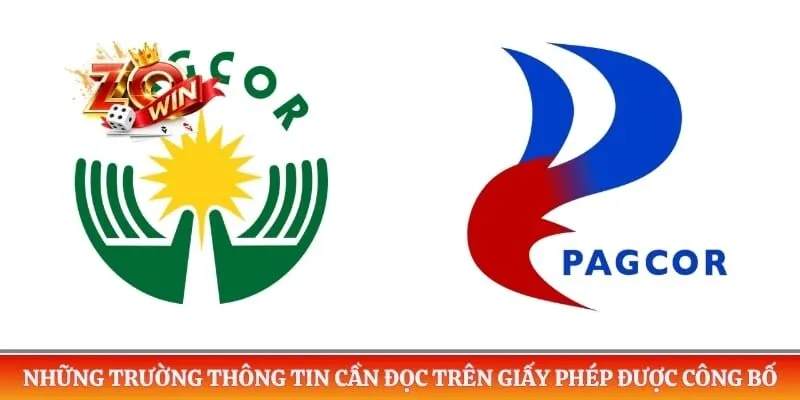 Những trường thông tin cần đọc trên giấy phép được công bố